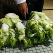 郫都区精品儿菜上市了，我们决对诚信经营。