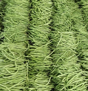 峨眉山市大棚无筋豆大量上市