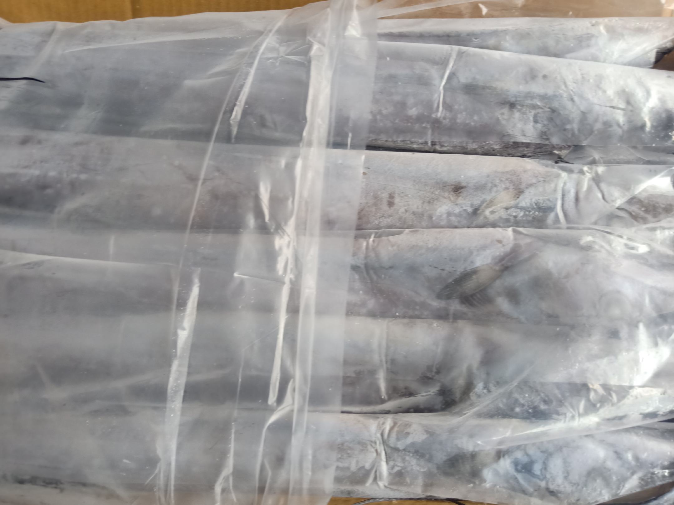 海带分装冷冻保存示意图