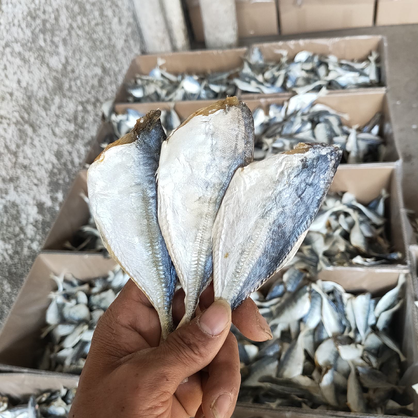 【晒场精品】北海特产黄尾鱼 凤尾鱼干 肉厚刺少 咸鱼干