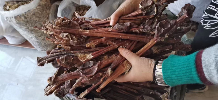 梅花鹿血与鹿鞭协同作用机制示意图