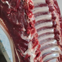新鲜驴肉！马肉！颜色特别漂亮鲜现杀现宰纯干无注水