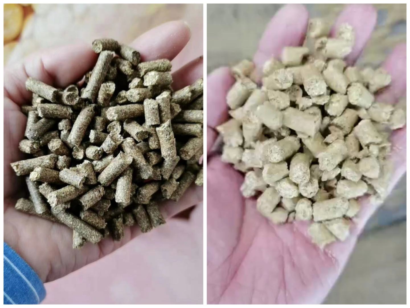 大豆泡发前后对比