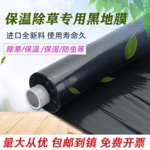 农用加厚黑色地膜除草膜薄膜膜果树果园蔬菜大棚草莓专用银黑