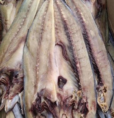 刀鲅,开背鲅鱼肉质劲道,没有乱刺,大量批发