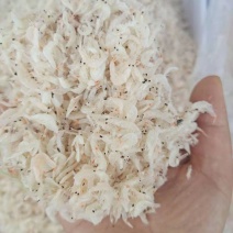 无盐淡干虾皮！补钙佳品！一手货源！量大从优！