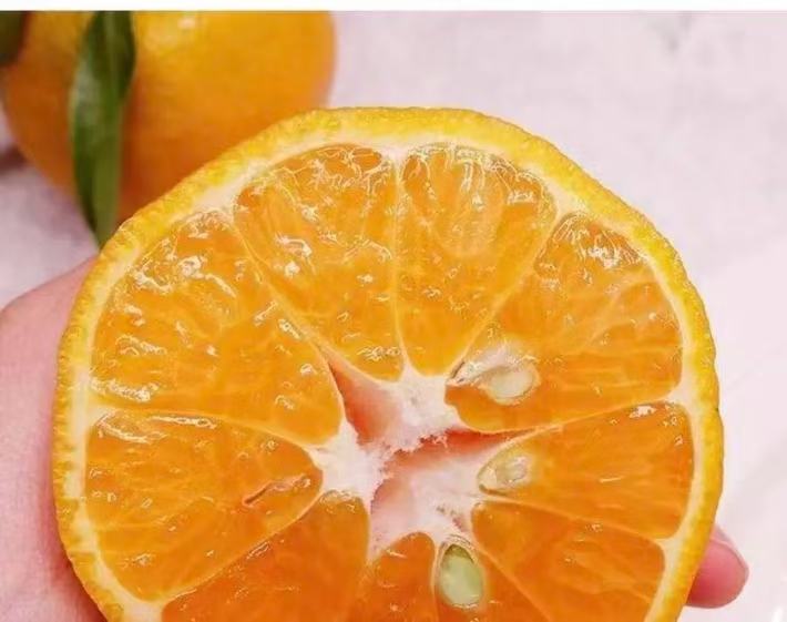 柑桔切面特写图