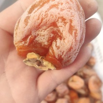 2023年山东青州天然霜降吊柿饼特一级柿饼子