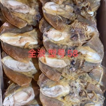 墨鱼干一件30斤全淡干浙江墨鱼一斤约18头