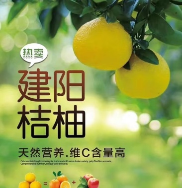 建阳桔柚礼盒装武夷山特产桔子柚子农家自产自销基地直供