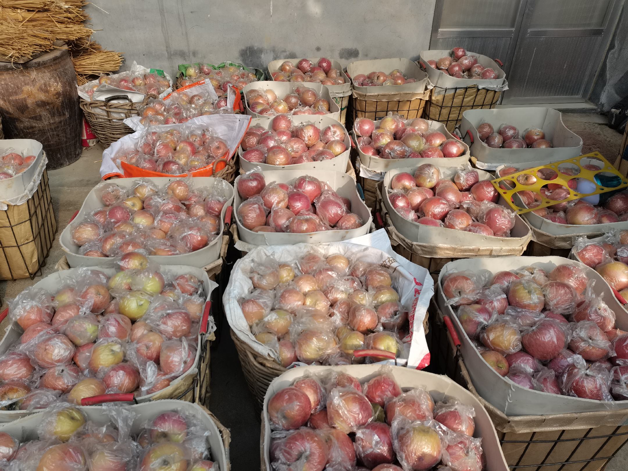 单县红星苹果礼盒包装与电商发货场景