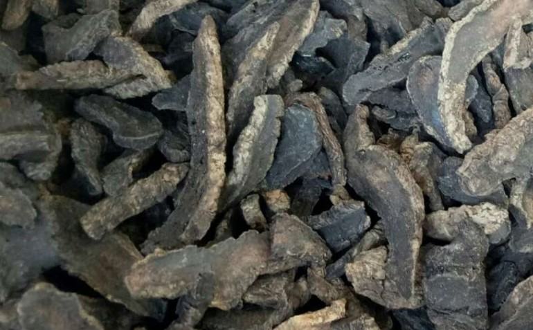 科研实证场景:中国中医科学院中药研究所实验室,研究人员正通过高效液相色谱(HPLC)分析熟地黄样本中5-羟甲基糠醛(5-HMF,微温标志物)、残留梓醇(寒性指标)及地黄多糖含量;背景清晰展示'怀庆府道地药材'样本罐与标准化检测报告,凸显熟地黄'微温'属性的现代科学验证过程 专业实验室检测场景:科研人员手持HPLC色谱图分析熟地黄样品,背景可见标有'5-HMF'、'梓醇'、'地黄多糖'的检测峰,操作台摆放标准品试剂瓶与怀庆府产地标识熟地黄样本