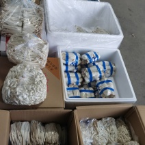 各种新鲜蔬菜菌菇代销欢迎致电洽谈