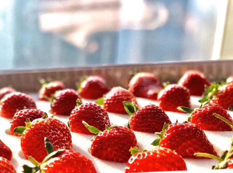 奶油草莓拼盘特写