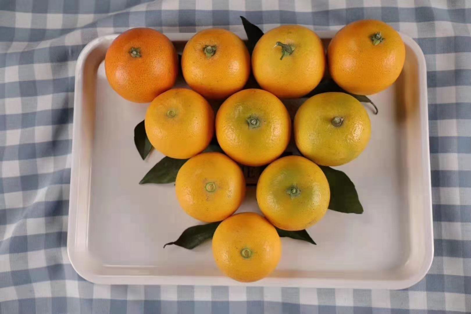 家庭餐桌上的冰糖橙摆盘