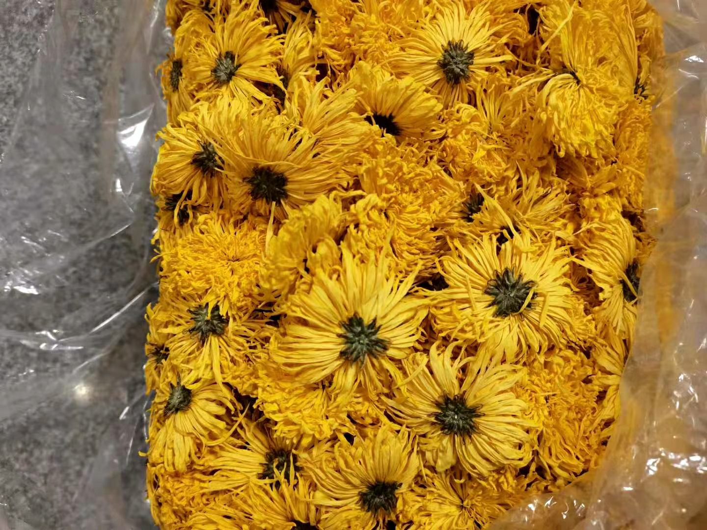 金丝皇菊茶与枸杞搭配图