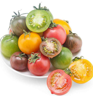 【小番茄/圣女果】四色混搭 现摘现发 包邮