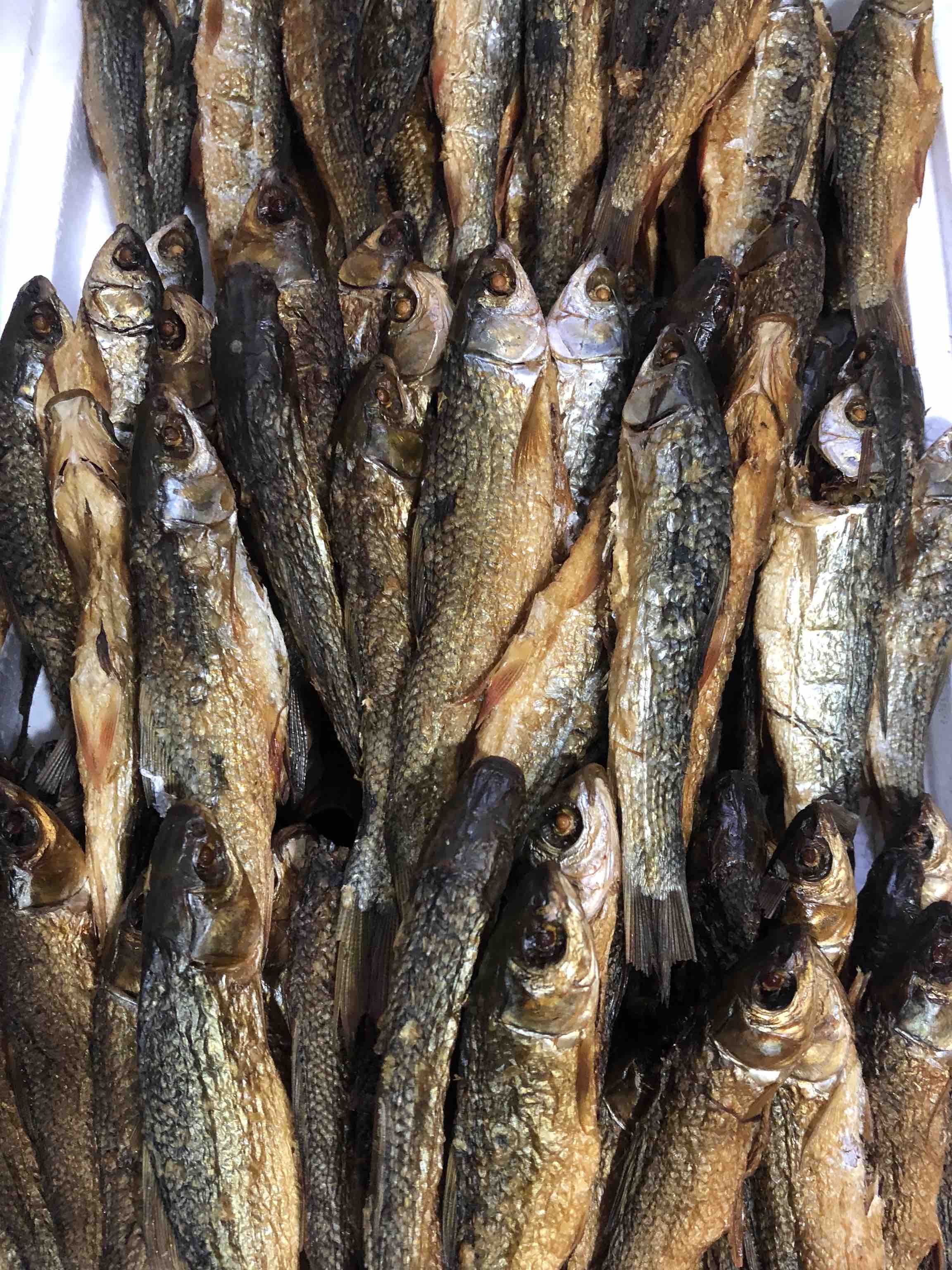 [火焙鱼批发]正宗火焙鱼 13-15公分 破肚不苦 弄子鱼价格23.