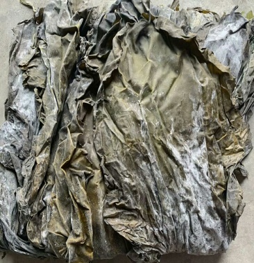 跑江湖地摊货干海带皮一手货源库房大量现货批发