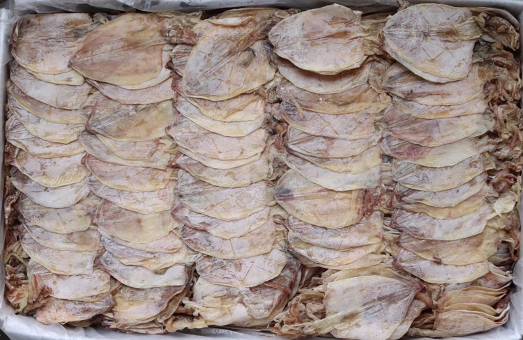 图示展示干鱿鱼与梨、西瓜等寒性水果放在一起的画面,提醒不宜同时食用 干鱿鱼与寒性水果对比图