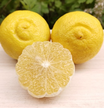 黄金贡柚春香桔柚象山青当季新鲜柚子品质保障价格从优
