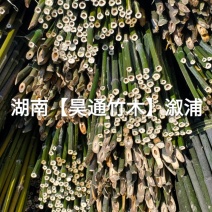 湘西雪峰山菜架竹、竹竿、金竹、铁竹、山竹、竹子
