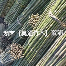 湘西雪峰山菜架竹、竹竿、竹架条、铁竹、金竹、绿竹、竹子