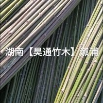 湘西雪峰山菜架竹、竹竿、金竹、铁竹、白竹、水竹、竹子