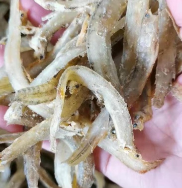 [凤尾鱼批发]凤尾鱼!大条的!不是很咸!可即食!干度好!大量现货价格6.