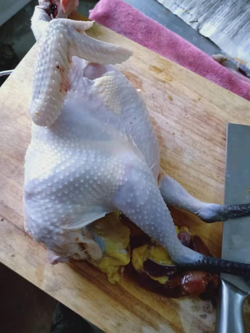 纯生态放养土鸡手工屠宰小时候的味道香味浓郁