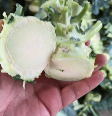 西兰花根子腌制厂用可提供半成品