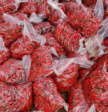 精品红泡椒,真空红泡椒商场超市市场批发酒店专供