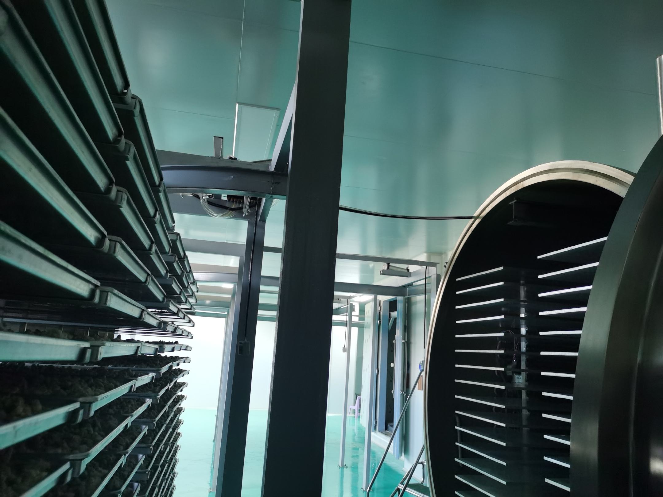 三七冻干加工过程示意图