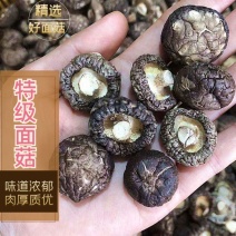 面菇新货上市小香菇干香菇肉质厚味浓香种植产地一手货源批发