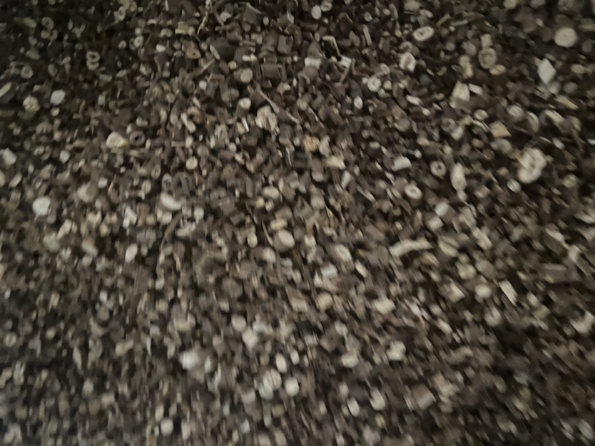 柴胡药材显微结构与薄层色谱图