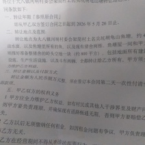 大八河垌四十亩鱼塘转让