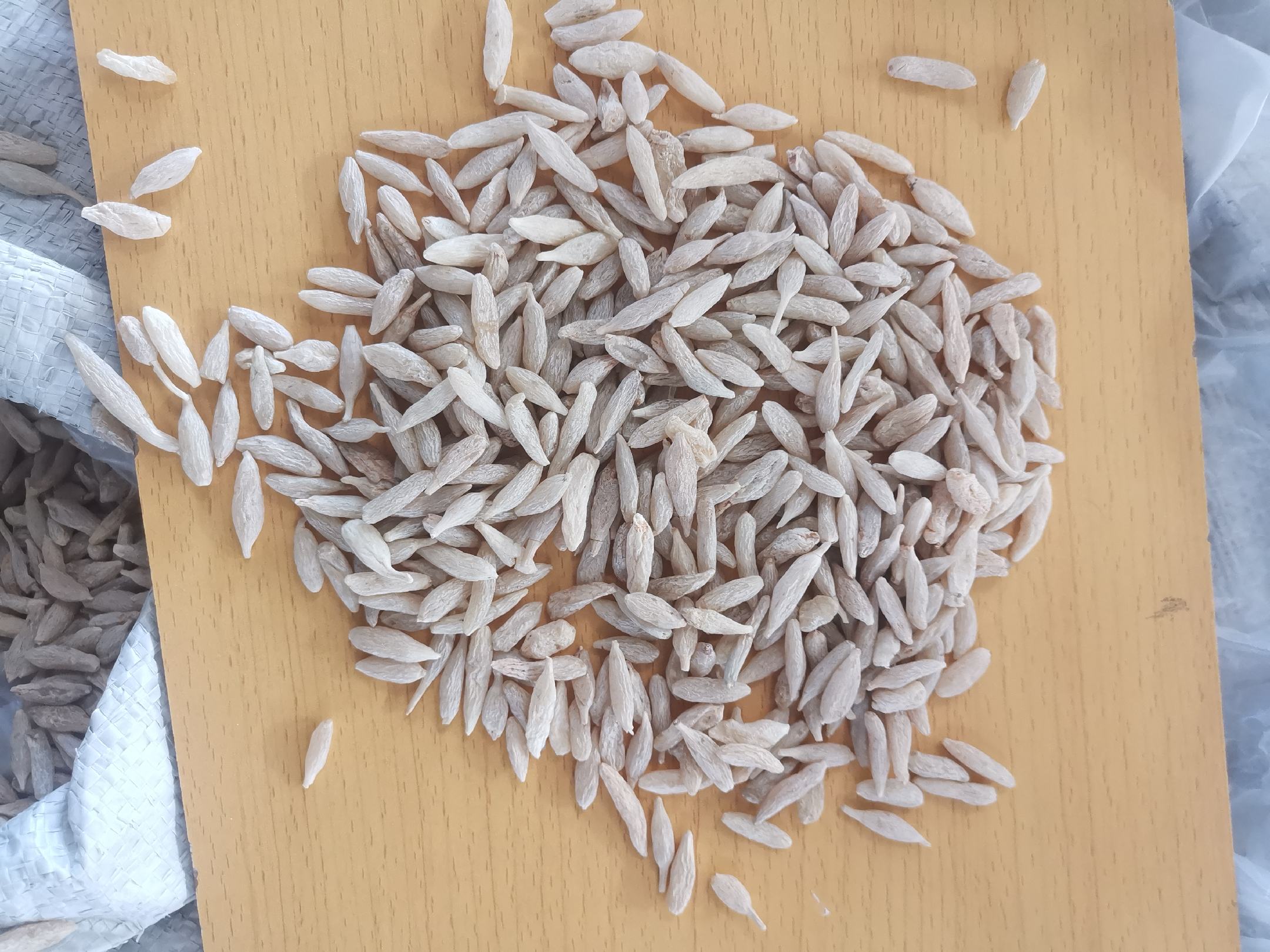 展示干燥处理后的白芷药材,整齐摆放在木托盘上,背景为中药材加工厂 白芷成品药材展示