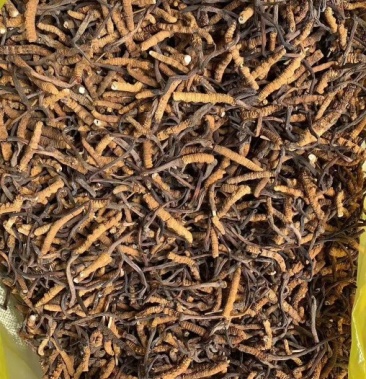 果洛玛沁县物流快递;按克收费规格1700条的断草5800克立即订购虫草地