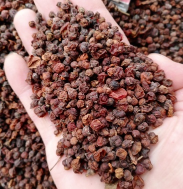 南五味子,常年批发供应南五味中药材,量大从优货真价实