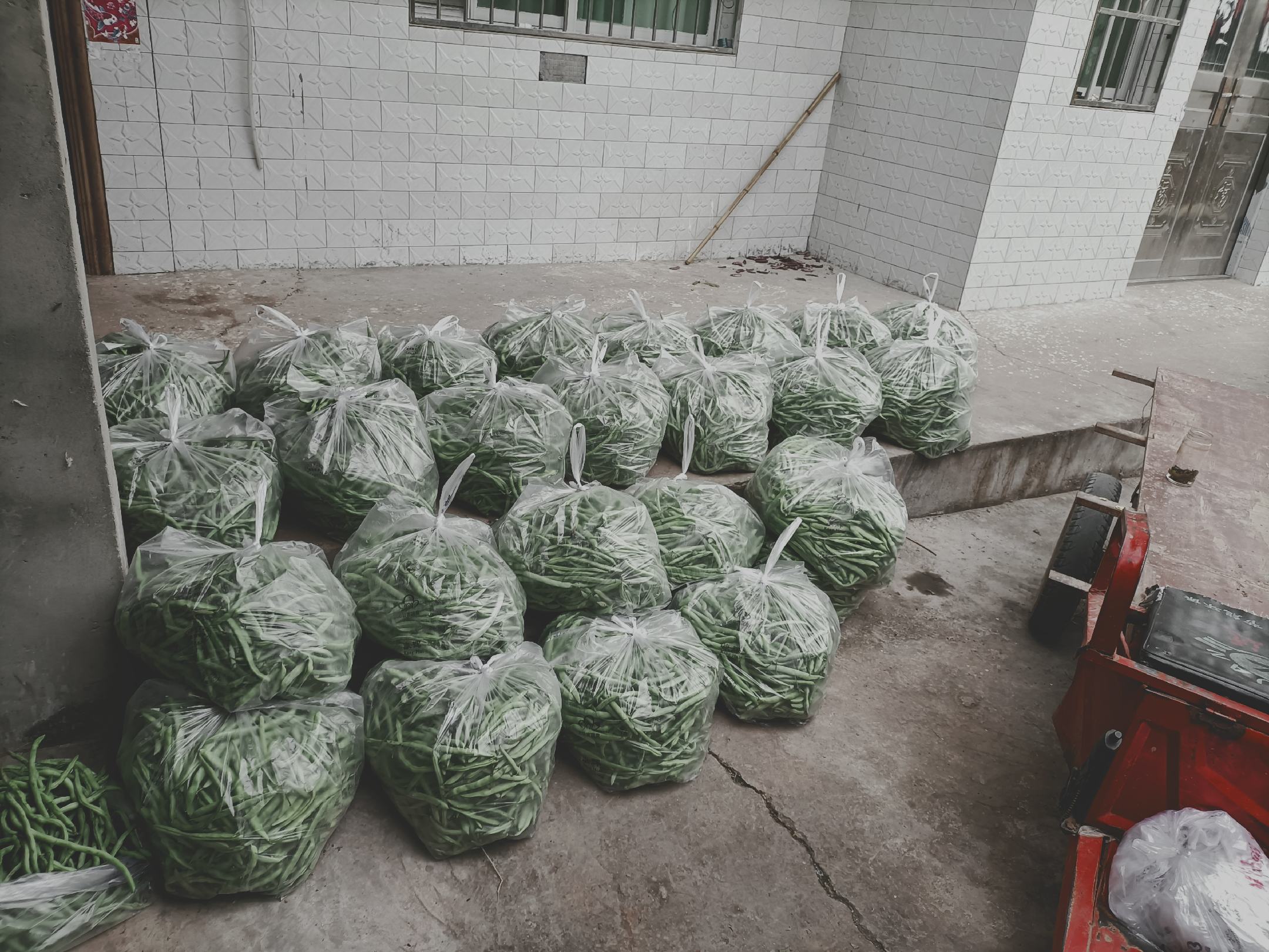 市售豆筋产品对比图