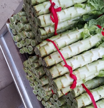 红叶香笋,大量上市,价格美丽