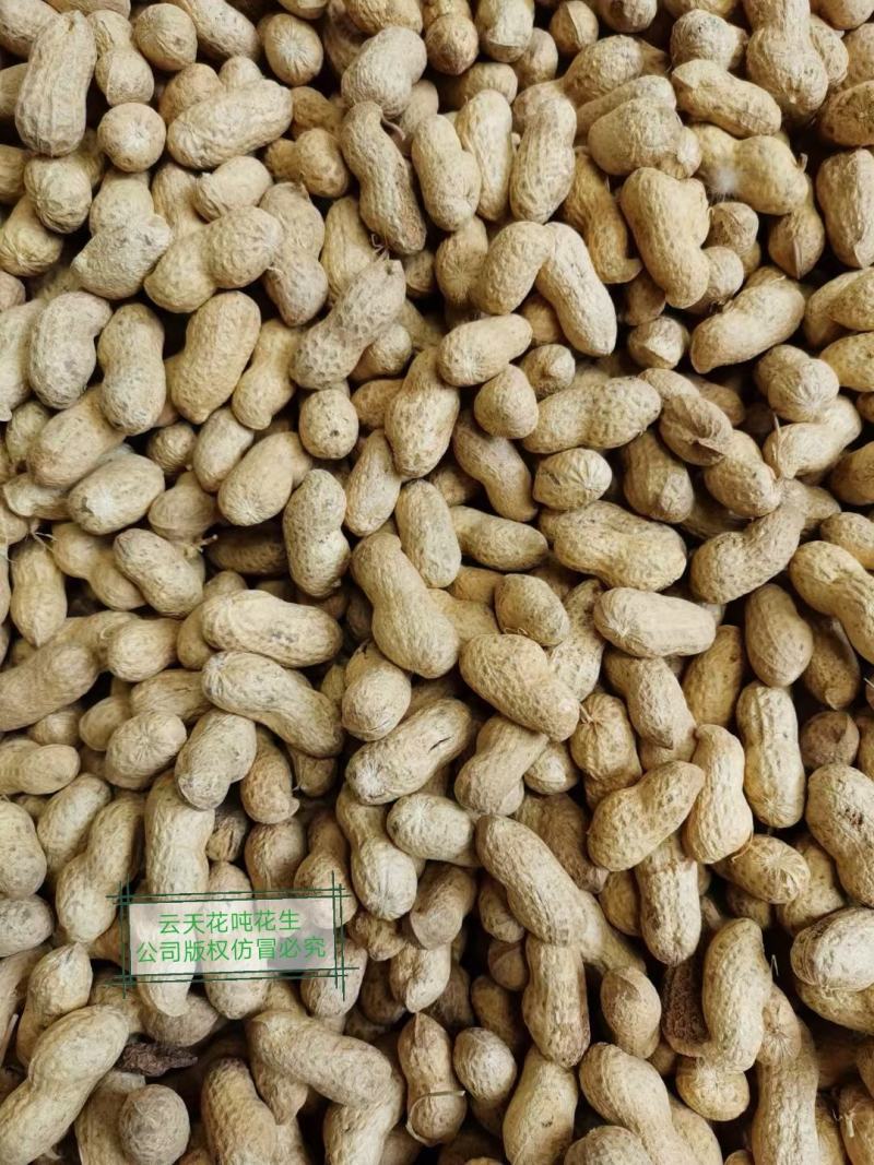 请不要上当受骗什么吨花生一号,多花生二号,等等都是仿冒产品公司没有