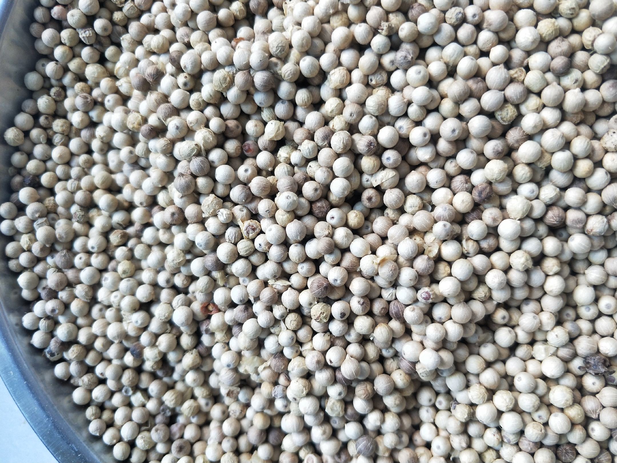 成品图：香气扑鼻的炒胡椒粒