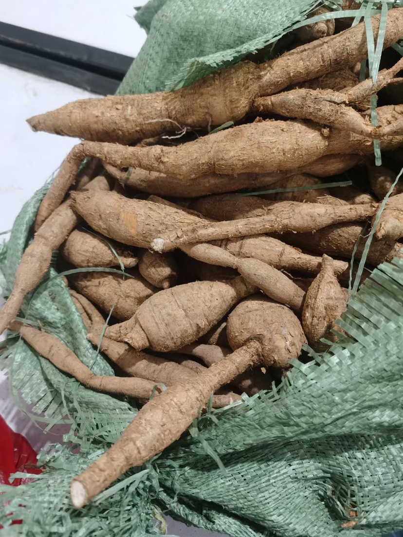 野生牛大力 广西黄皮 黑皮鲜货牛大力 长期供应鲜货