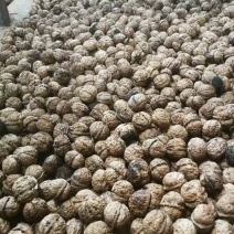 云南薄皮核桃，都是自家种的2023年新货，个大饱满