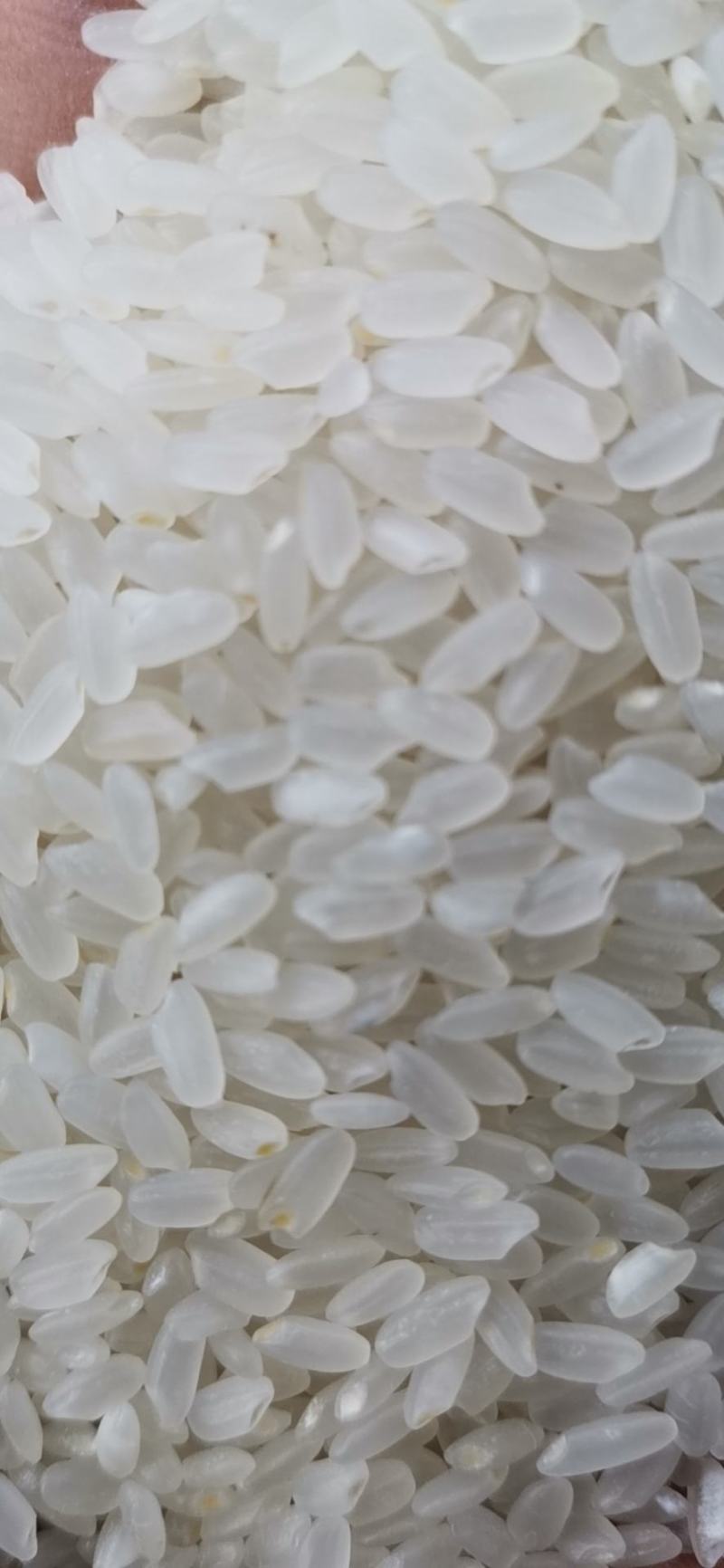 东北富硒大米自产自销一件代发