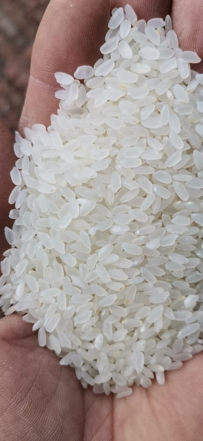 东北富硒大米自产自销一件代发