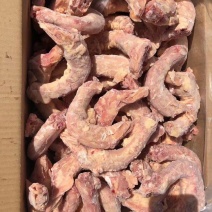 鸽子规格齐全，价格美丽，厂家直接发货，长期有货