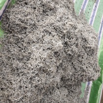 湖南郴州高山野生藤茶，莓茶，口味纯正，全国发货，诚招代理