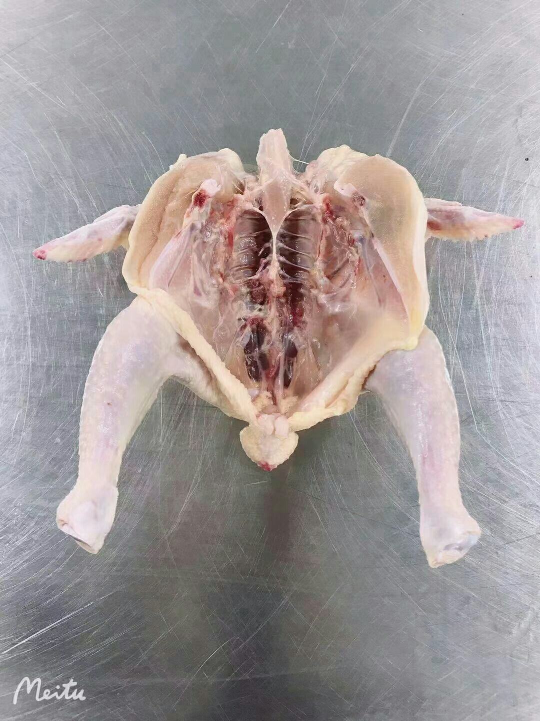 [西装鸡批发]西装鸡一车,价格美丽,厂家直接发货.长期有货,价格3.